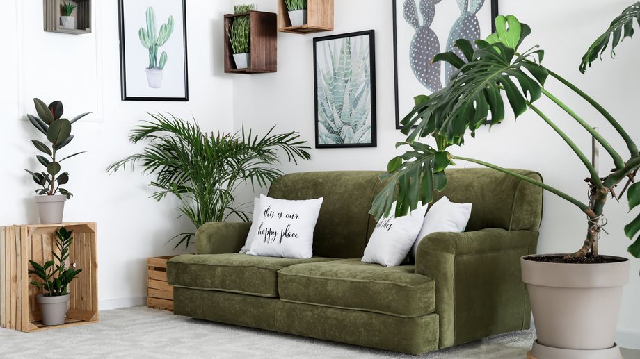 Wohnung mit grüner Couch