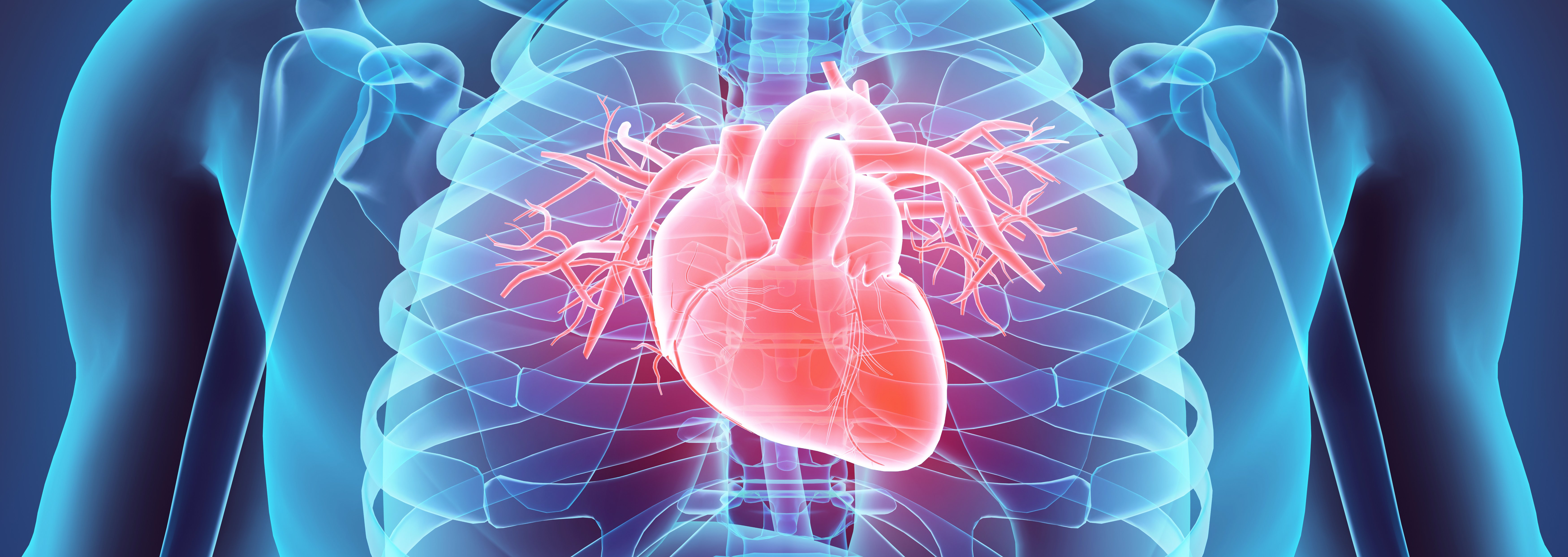 Herz: Perfusion, Vitalität, Amyloidose am UKR