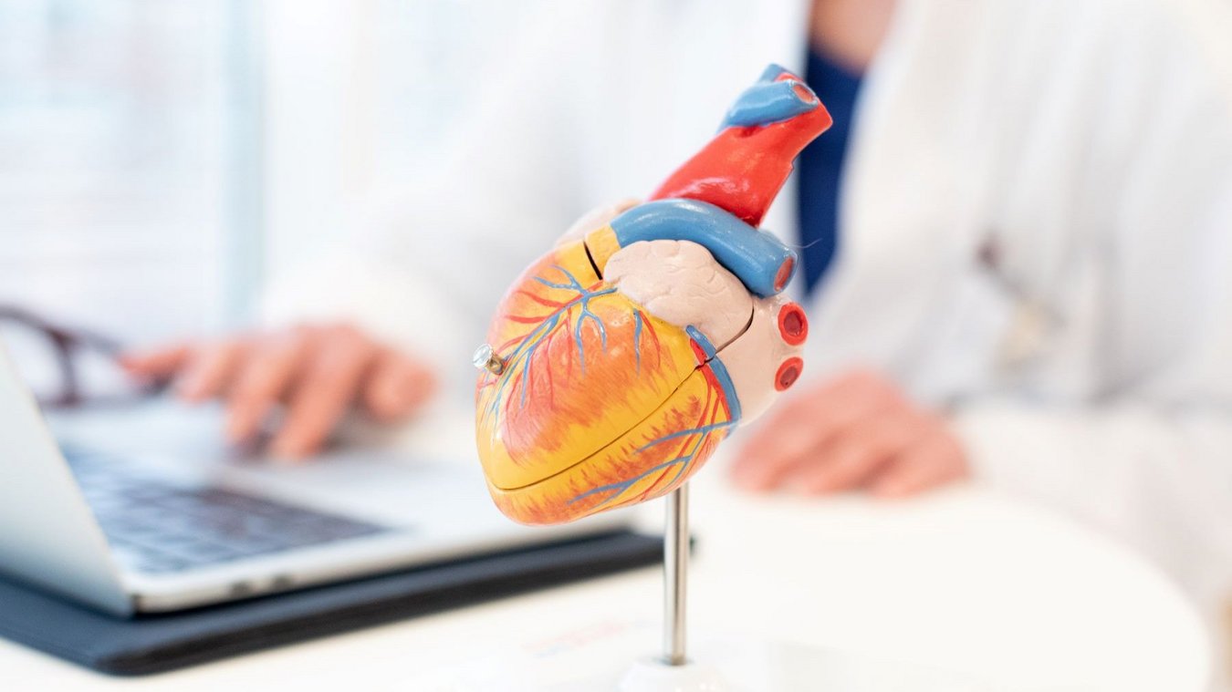 Universitätsklinikum Regensburg, UKR, Herzerkrankung, Herz, Kardiologie