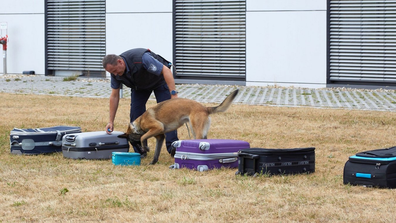UKR, Uniklinikum Regensburg, Universitätsklinikum Regensburg, Kinder- und Jugendmedizin, KUNO, HZA, Hauptzollamt Regensburg, Zoll-Hundestaffel