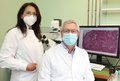 UKR, Uniklinikum Regensburg, Universitätsklinikum Regensburg, Biomarker, Experimentelle Chirurgie, Chirurgie, Forschung, BMBF, FERROPath